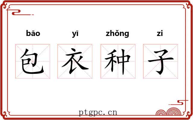 包衣种子 包衣种子