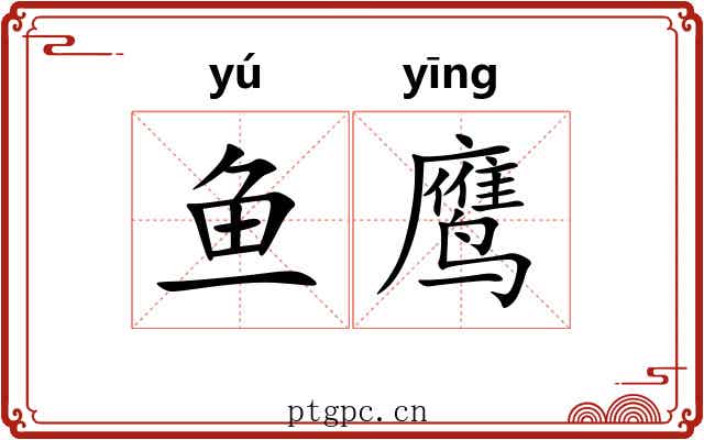 鱼鹰