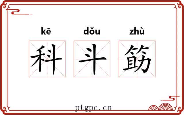 科斗筯