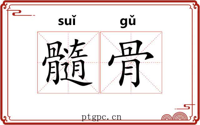 髓骨