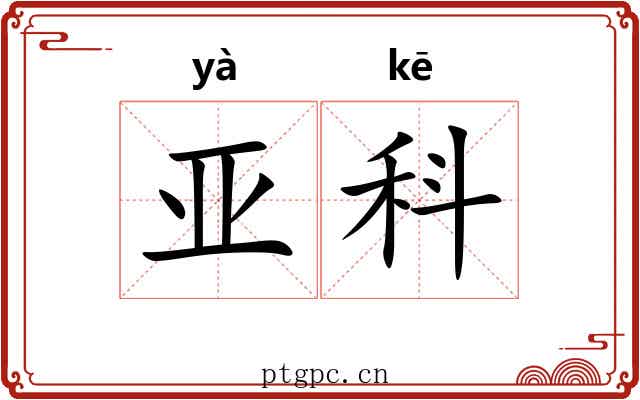 亚科 亚科