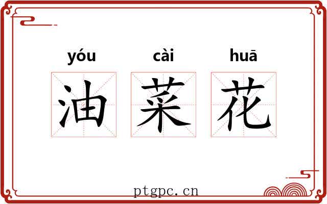 油菜花