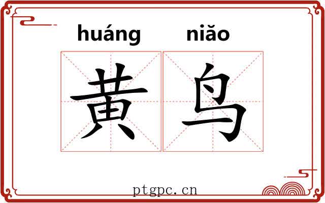 黄鸟 黄鸟