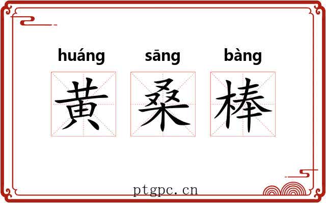 黄桑棒 黄桑棒