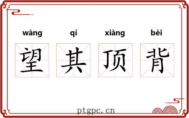 望其顶背