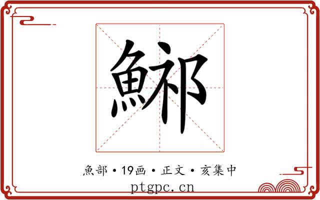 𩷾