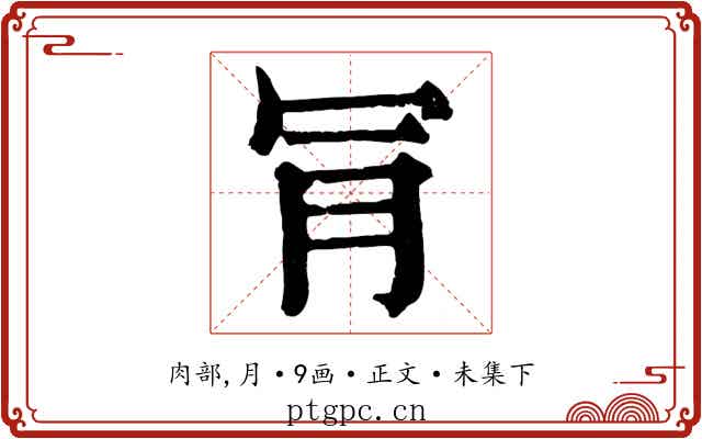 𣍟