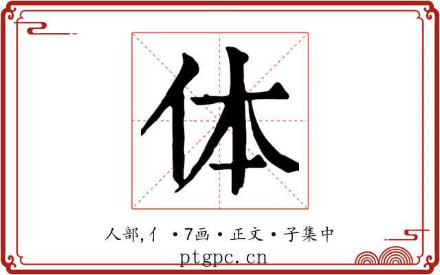 体