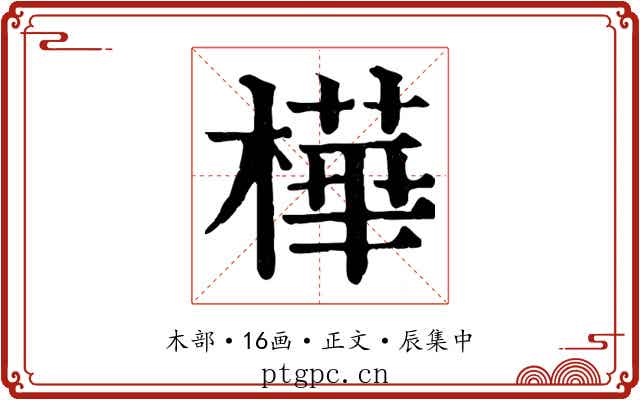 樺