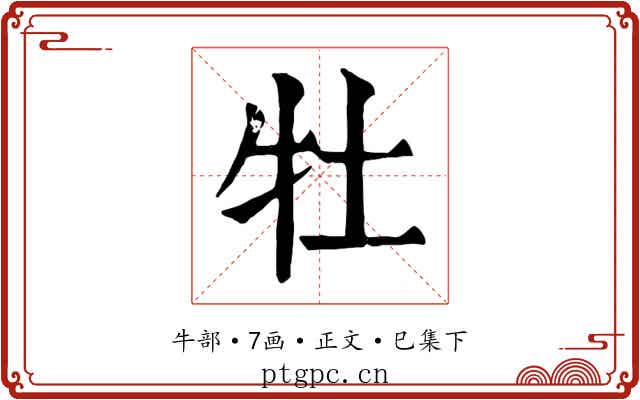 牡