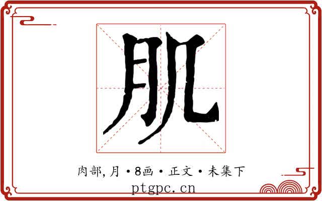 肌