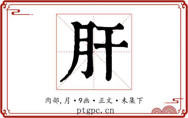 肝