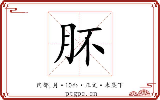 肧