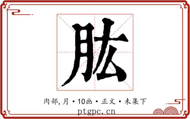 肱