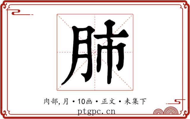 肺