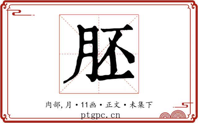 胚