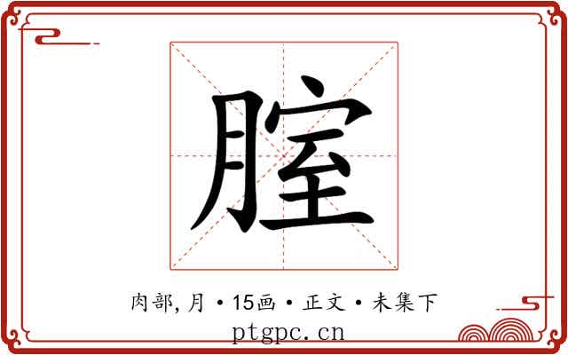 腟