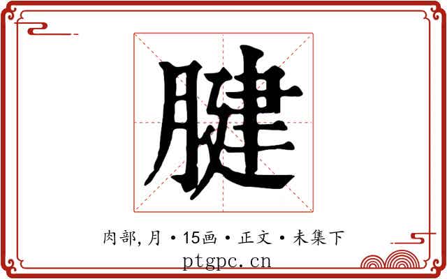 腱