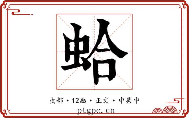 蛤