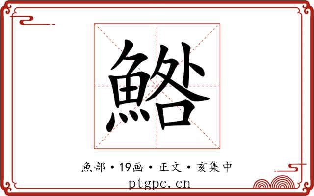 鯦