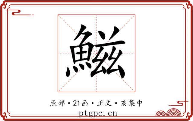 鰦