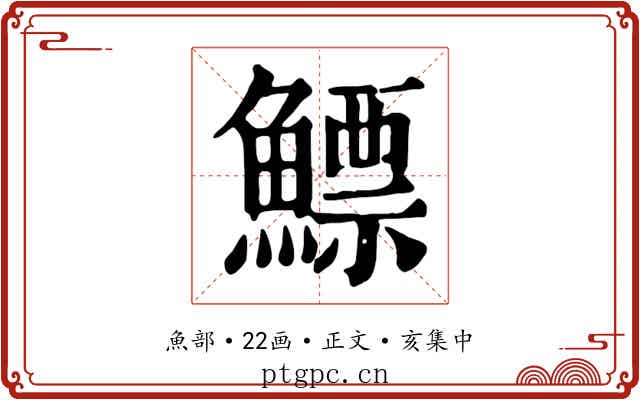 鰾