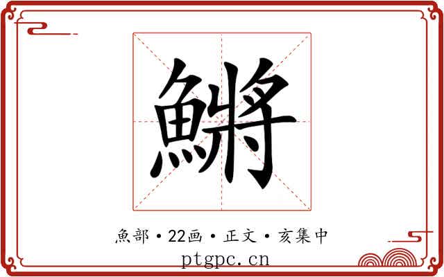 鱂