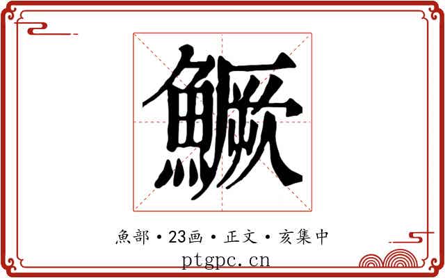鱖