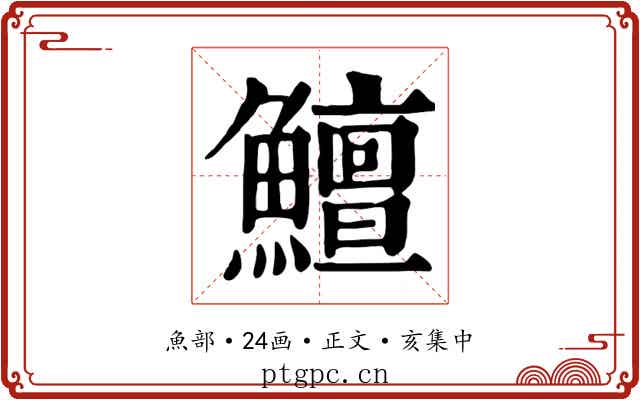 鱣