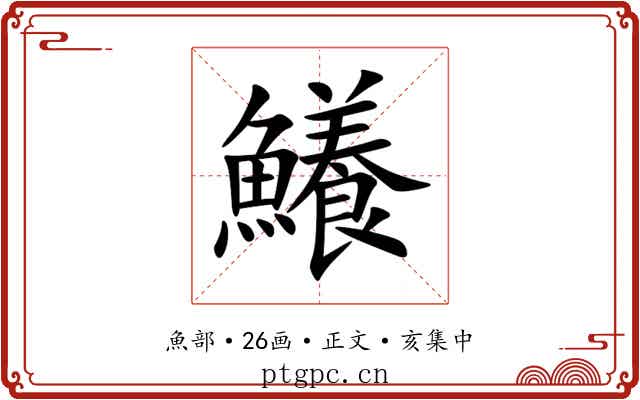 鱶