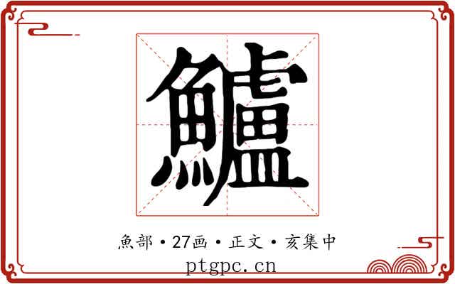 鱸