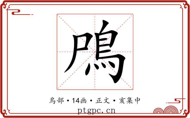 鳲
