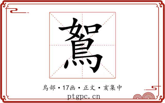 鴽