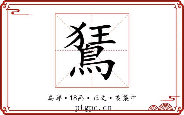 鵟