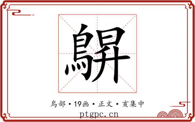 鵿