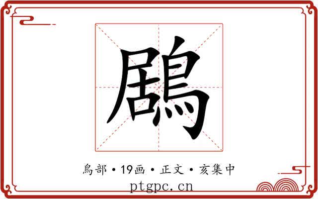 鶋