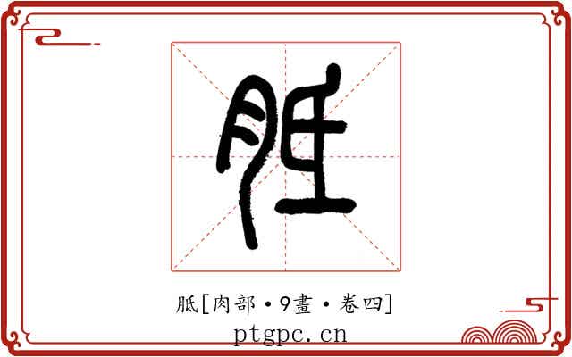 胝