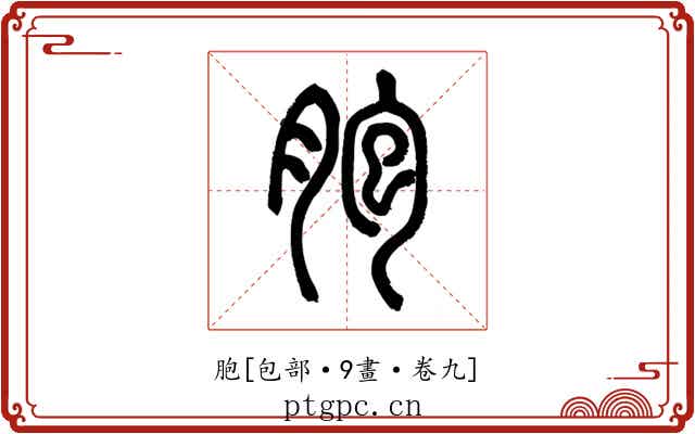 胞