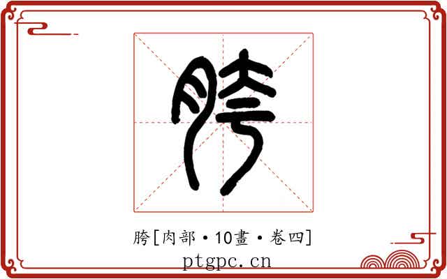 胯