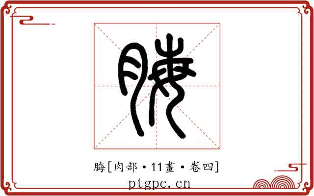 脢