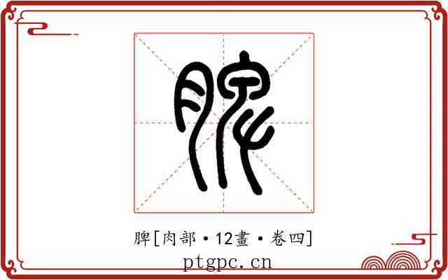 脾