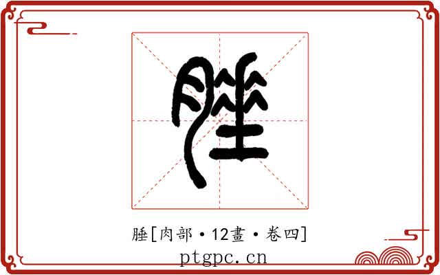 腄
