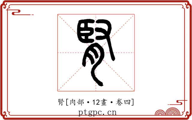 腎