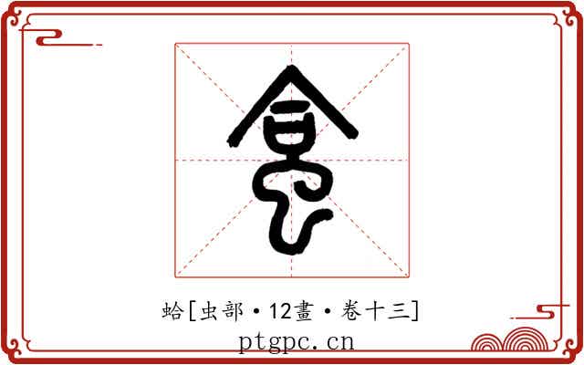 蛤