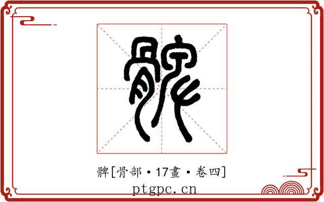 髀