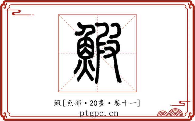 鰕