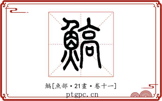 鰝
