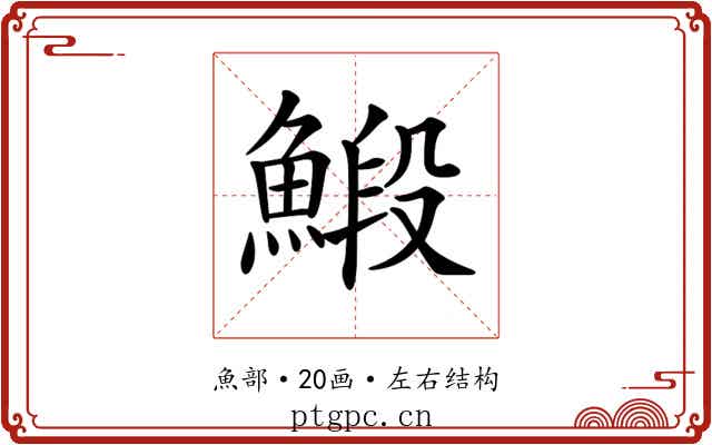 𩹨