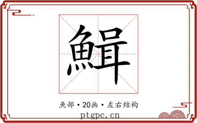 𩹫