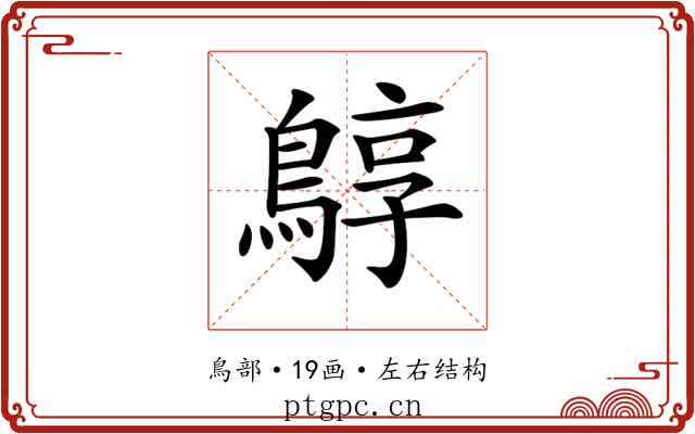 𪂎